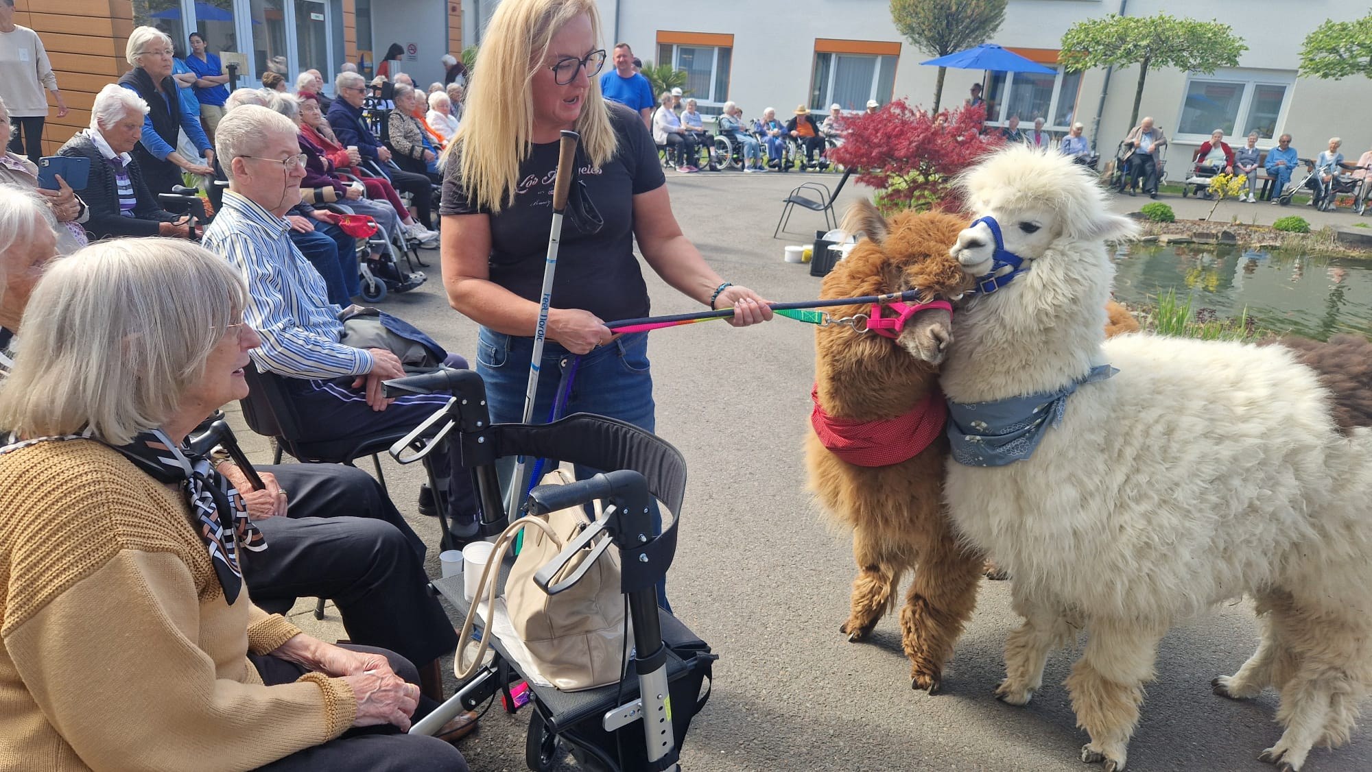 Tierischer Besuch in der Vivat am 27.04.2026