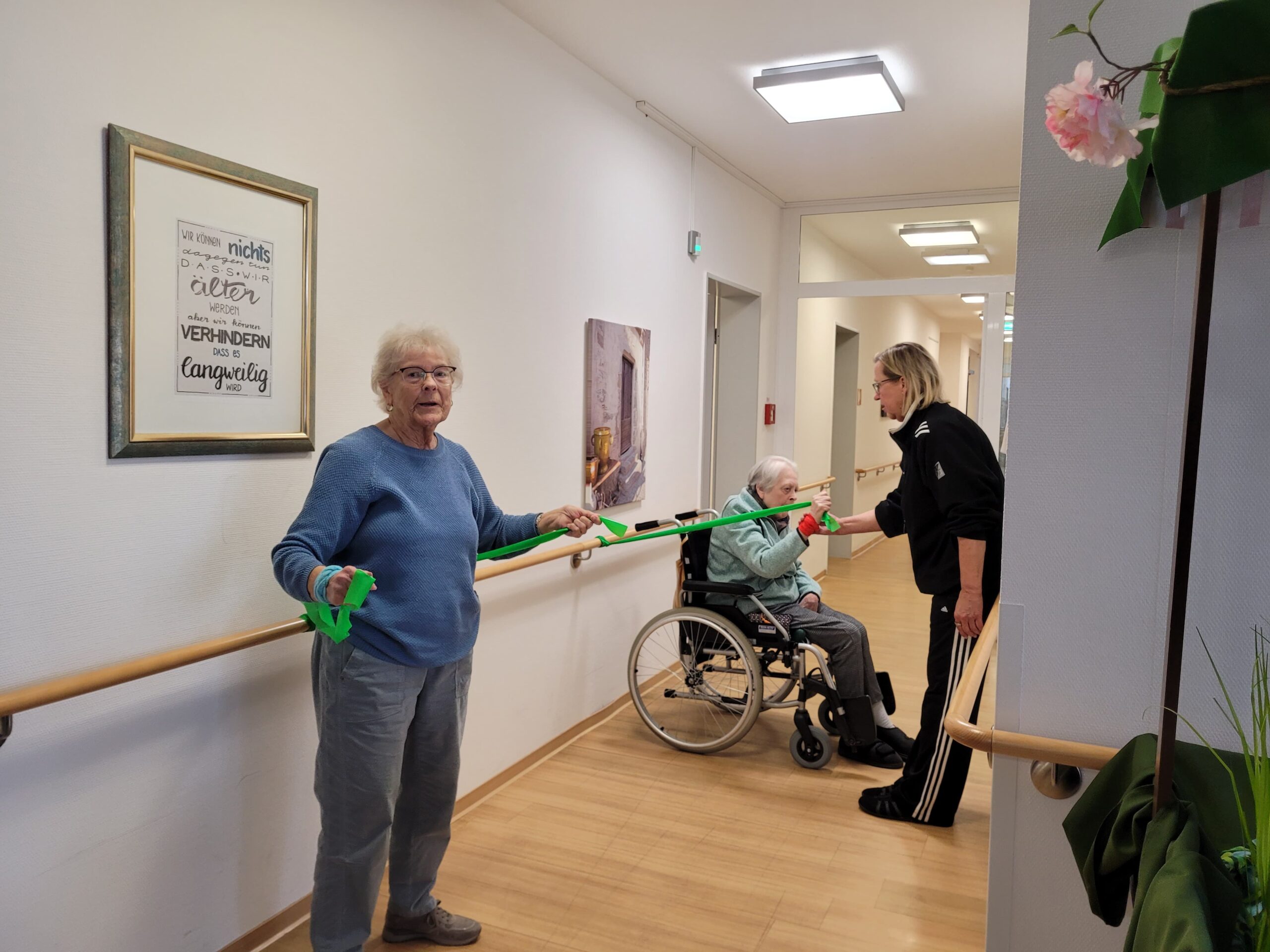 Terrabänder: Kraft für die Arme